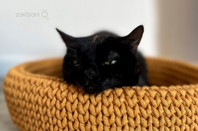 bedding of cotton twine amber | ZAKOTANI